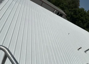 Roof Coatings Main (1)